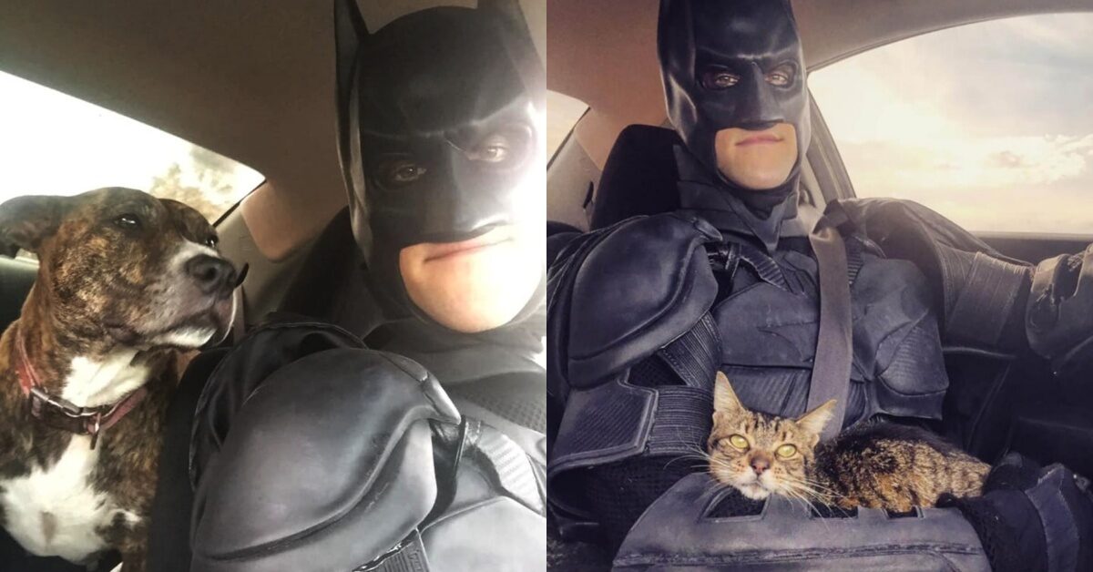 Koko Il Pitbull Salvato Da Un Uomo Vestito Da Batman