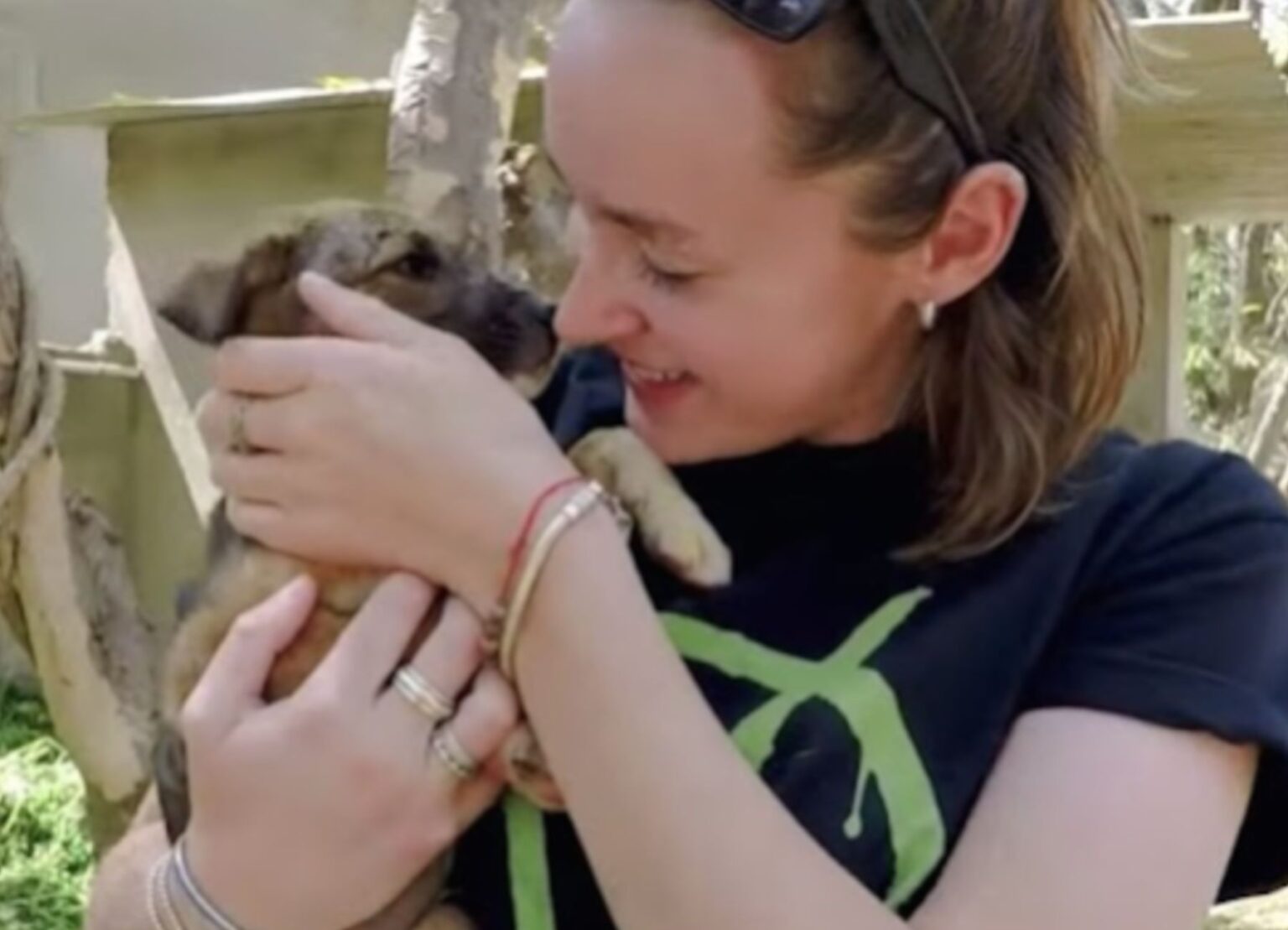 Se Vuoi Sapere Cos L Amore Basta Scoprire La Storia Di Questo Cane E