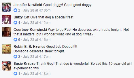 dog-comments