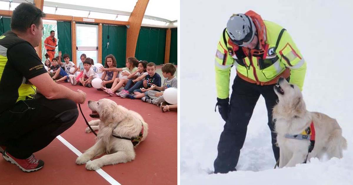 Addio a Scott, il cane che ha soccorso i superstiti di Amatrice