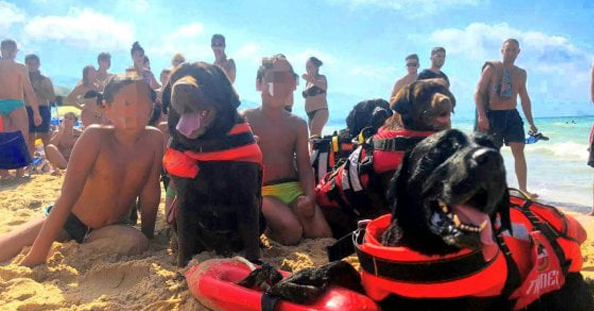 Trapani: cani da soccorso salvano 3 bambini in mare