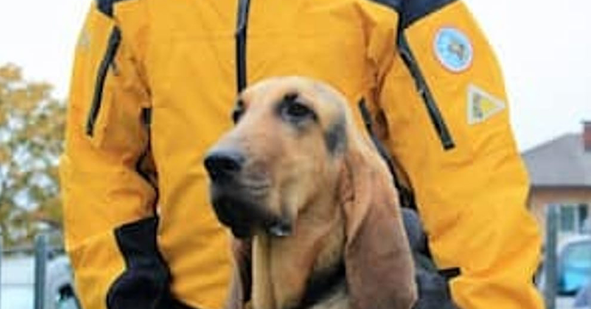 Trento: cani da ricerca ritrovano donna dispersa a Lagolo