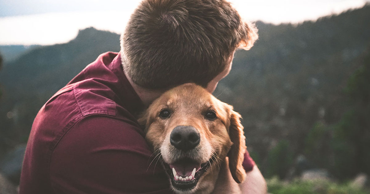 Cani contro la malinconia: secondo la scienza ci aiutano a superare i lutti