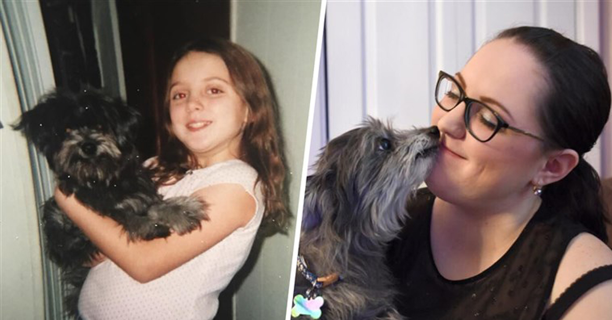 Chloe, il cane anziano che ritrova la sua famiglia dopo 7 anni