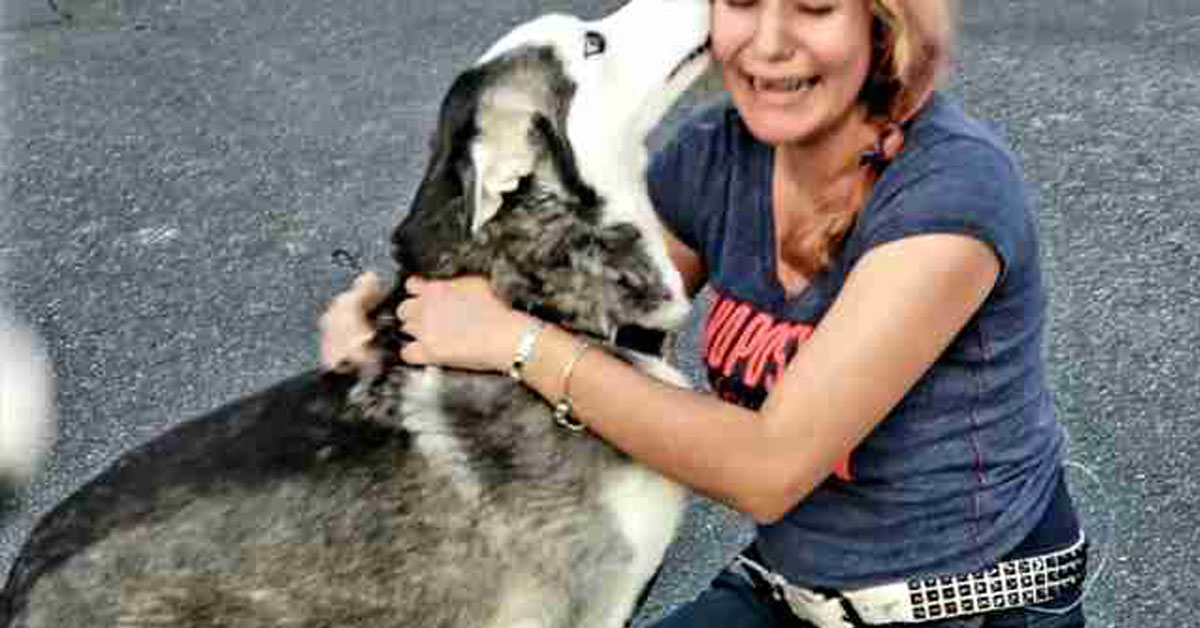 Semper, il cane che ha ritrovato la proprietaria dopo due anni