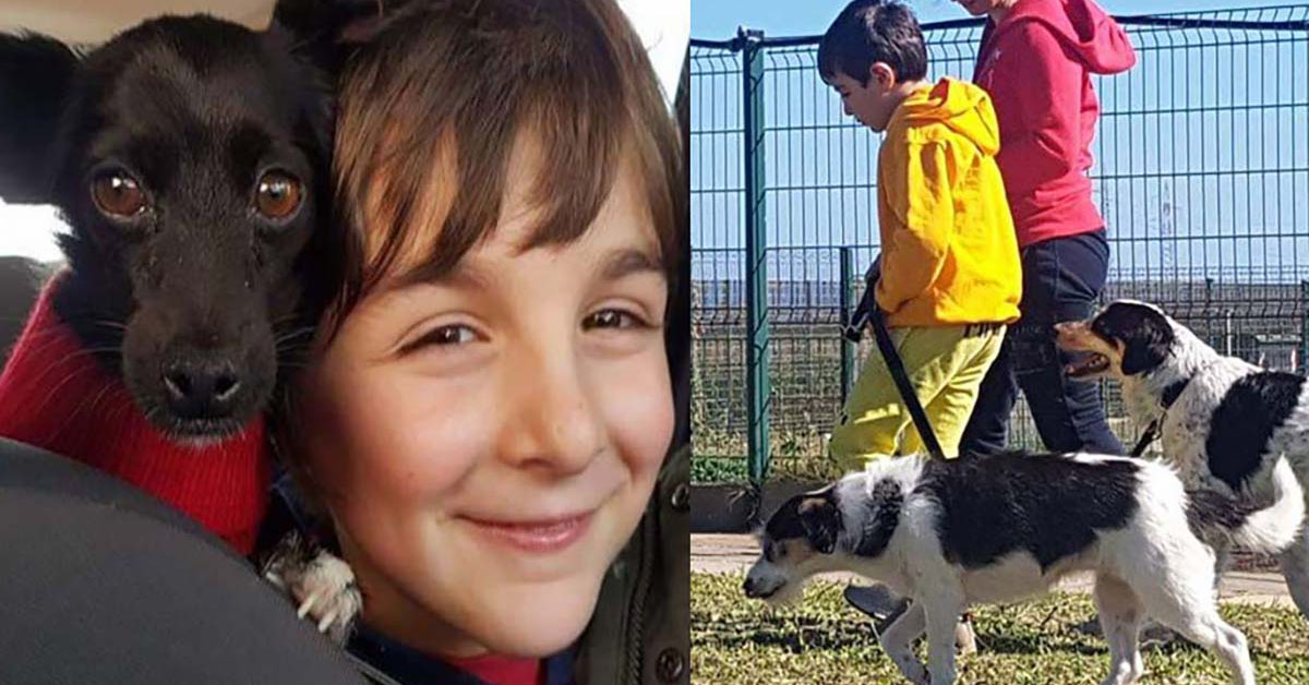 I cani del canile aiutati da Gabriele, un bambino di 9 anni