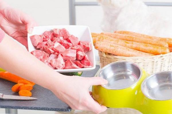 preparazione ricetta per cani