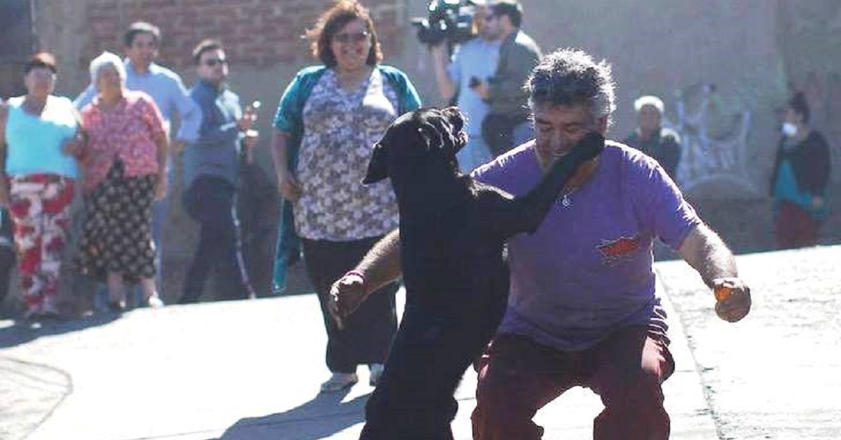 Cane ritrova miracolosamente i suoi proprietari dopo l’incendio