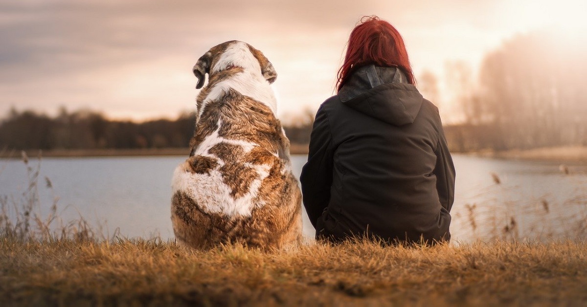 Cani e Covid, l’appello della Protezione civile