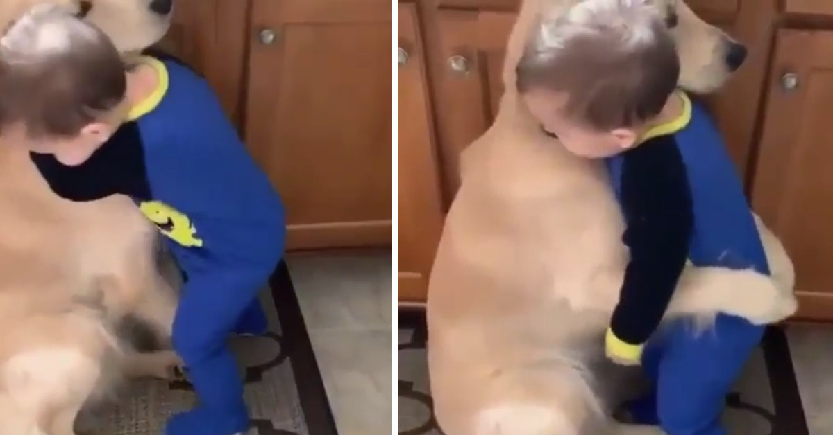 Golden Retriever abbraccia un bambino e il video conquista il web