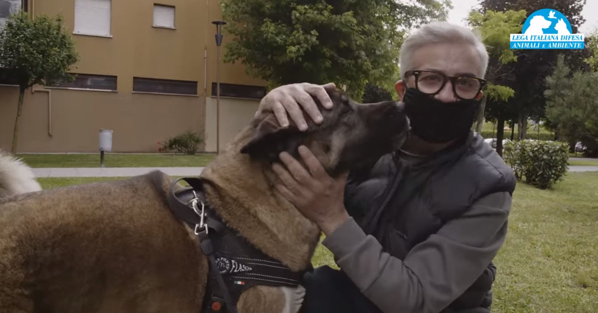 La cagnolina Patty ha potuto finalmente riabbracciare il proprietario guarito dal Coronavirus (video)