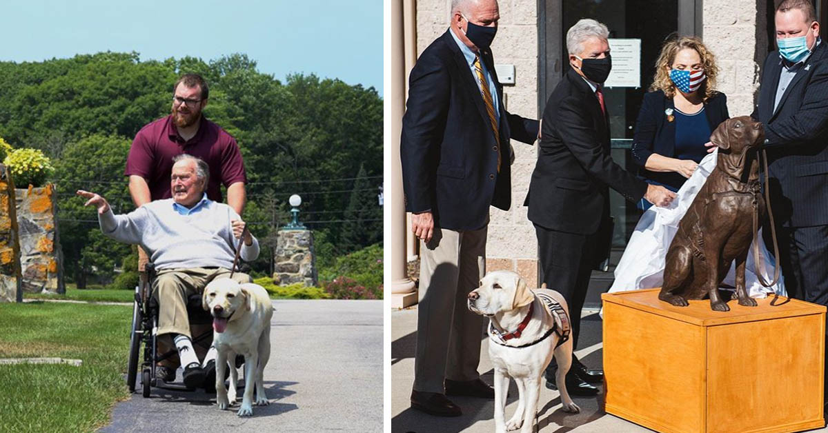 Sully, il Labrador di George H.W. Bush ha ricevuto un premio speciale (video)