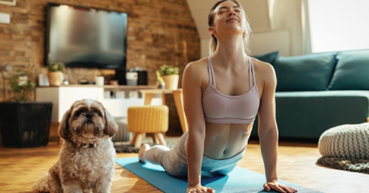 La cucciola Daisy è un’amante dello yoga, la sua migliore posizione in video