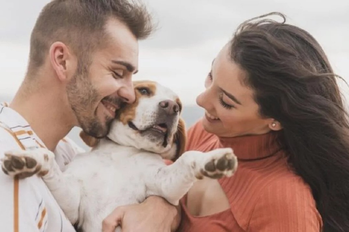 Il Cane Capisce Se Stai Facendo L'amore?