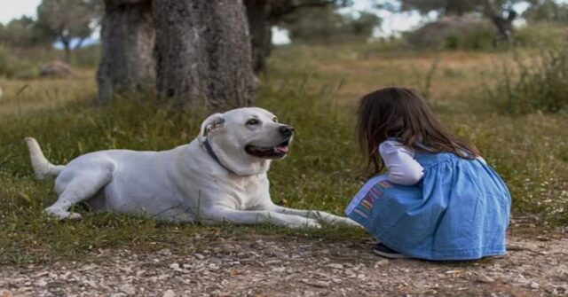 Un cane coraggioso salva una bimba che sta per cadere in un fiume (VIDEO)