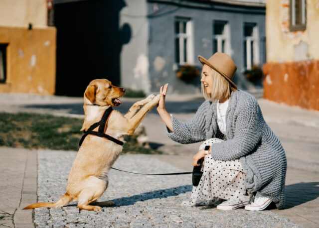 8 foto di cani in famiglia che vi faranno sciogliere il cuore