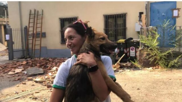 Cagnolino estratto vivo dalle macerie della palazzina di Torino