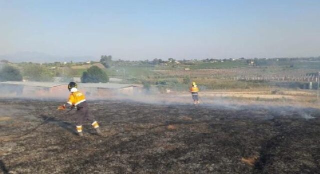 Cani in pericolo al centro di un incendio: tempestivi i soccorsi