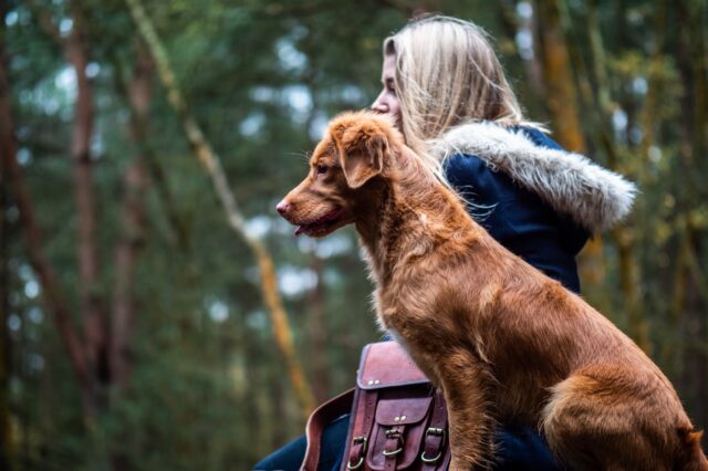 4 suggerimenti per portare a spasso il cane in sicurezza quando fa freddo