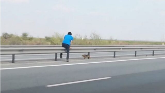 Cucciolo di cane salvato da un uomo che rischia la sua vita per lui