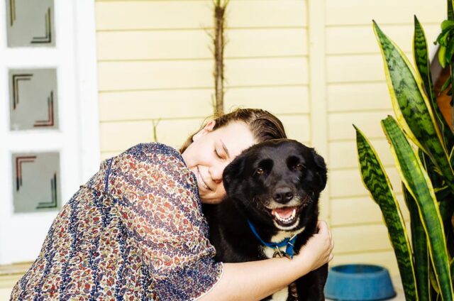 4 storie di cani che ti faranno letteralmente emozionare