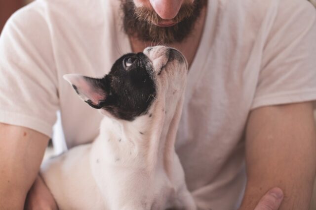 6 foto di cani che dichiarano il loro amore ai proprietari