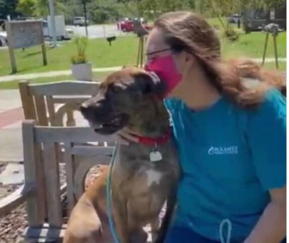 Cucciolo di cane viene adottato e al canile lo salutano così