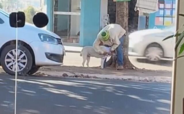 Cucciolo di cane fa amicizia con un senzatetto: le dolci immagini