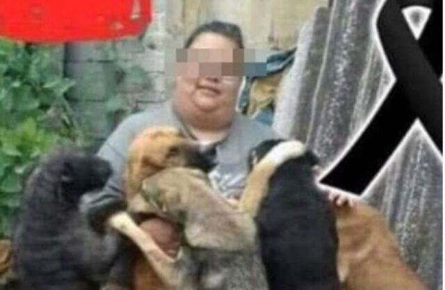 Cuccioli di cane che rischiano lo sfratto: ecco la loro storia