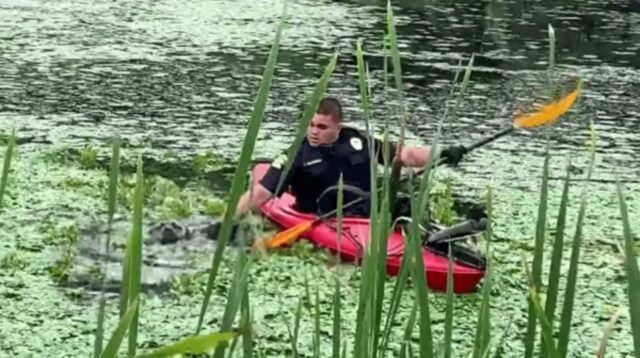 Akela, la cagnolona caduta in uno stagno, è stata salvata dagli agenti