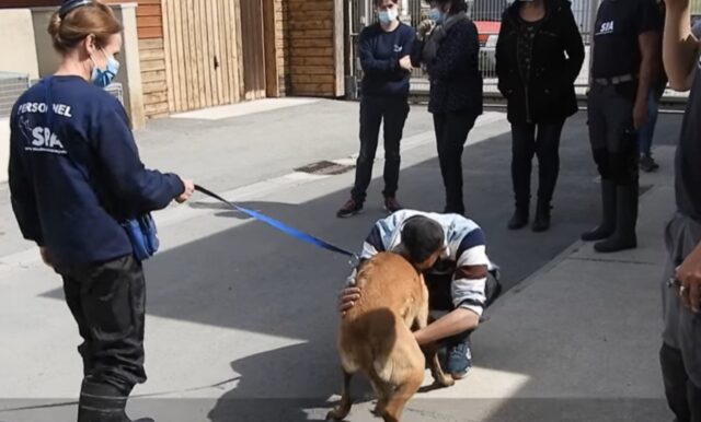 Bandit, il cagnolino rubato ritrova il suo umano dopo 8 mesi (VIDEO)