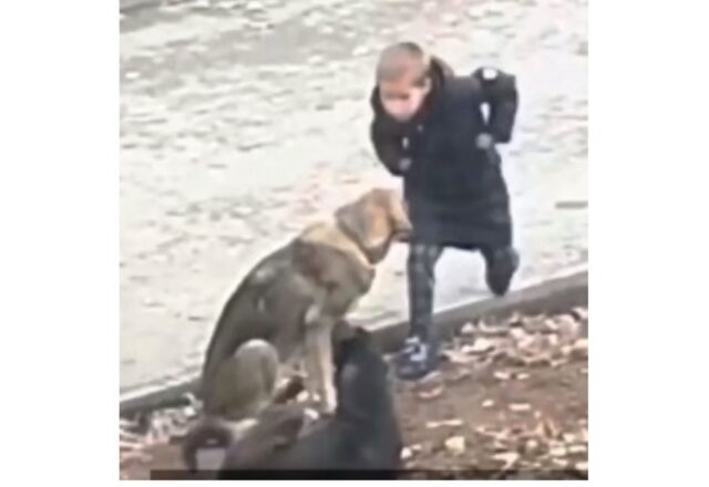 Il ragazzino e il cane randagio si abbracciano forte, credendo che nessuno li stia osservando