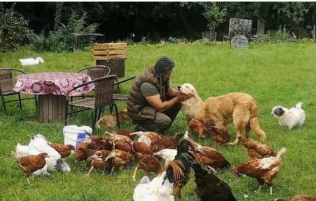 Cuccioli di cane vivono felici grazie ad un uomo, vediamo perché