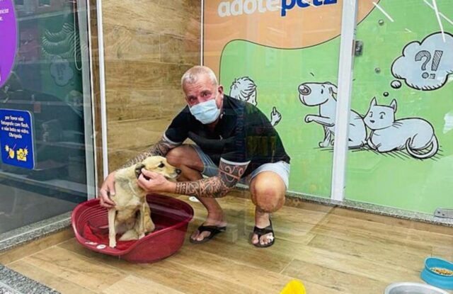 Il lungo e fortunato viaggio del cane Batista da Manaus all’Olanda