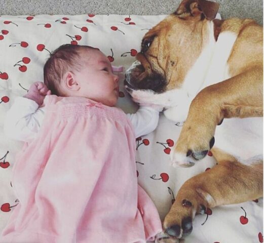 Cucciolo di cane migliore amico di una bambina da quando è nata