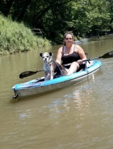 Ethyl, la cagnolona finita nel fiume, è stata salvata giusto in tempo