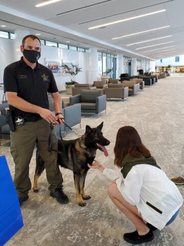 Donna lascia 32 mila dollari di eredità ai cani poliziotto