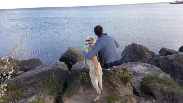 Irena, la cagnolona che ha vissuto sempre in gabbia