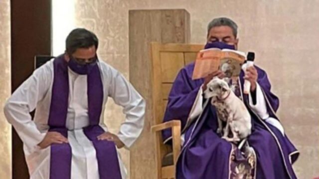 Sacerdote dice la messa con il suo cane perché non poteva lasciarlo solo