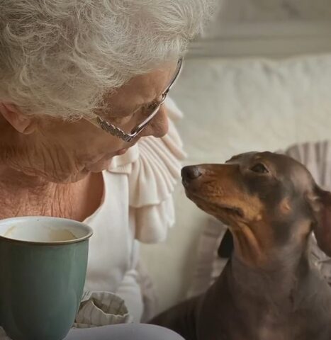 Sally, il bassotto che ha un legame speciale con sua nonna