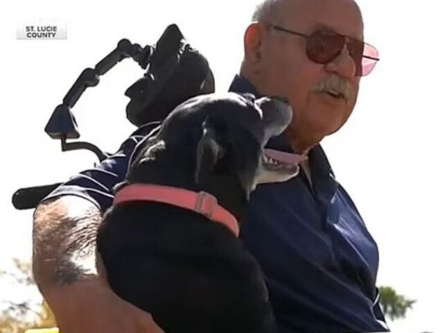 Cucciolo di cane salva un uomo che sta per annegare