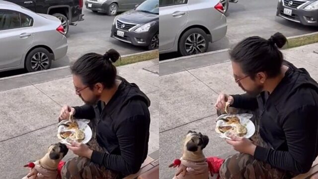 Al ragazzo viene negato di mangiare nel ristorante con il suo cane, costretto a mangiare sul marciapiede