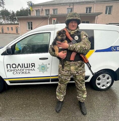 Bayraktar, il cane poliziotto che sta aiutando l’Ucraina