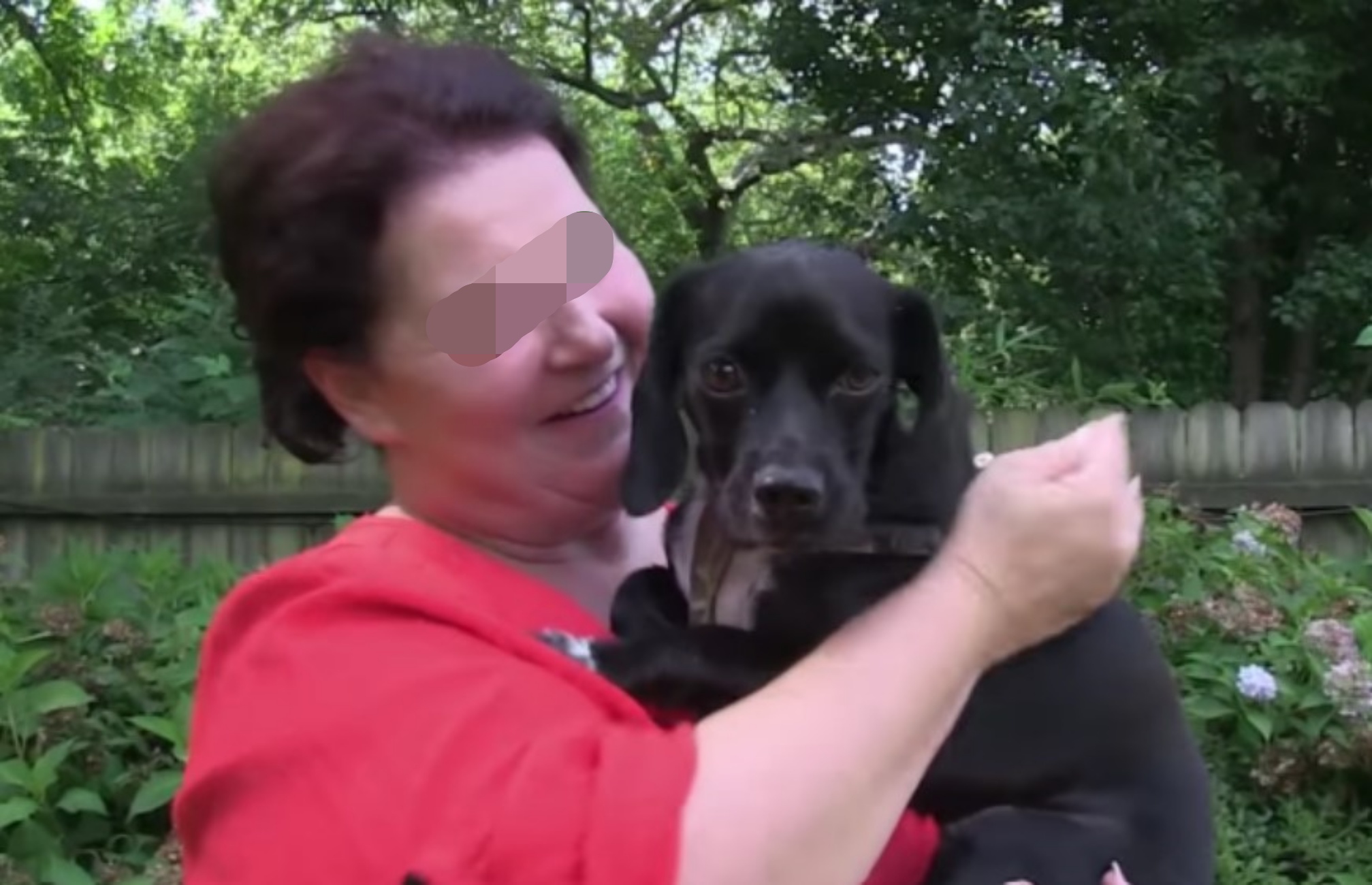 Buster Il Cane Che Viveva In Catene è Stato Finalmente Liberato 5365