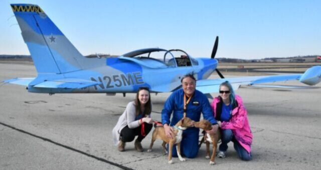 360 cani hanno trovato la felicità grazie ad un pilota di aerei in pensione