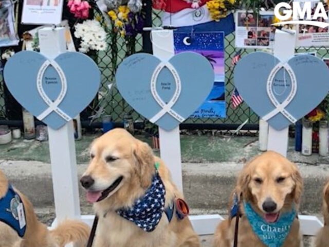 Otto Golden Retriever sono andati ad Uvalde per dare conforto dopo la tragedia