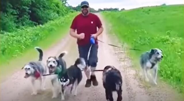 Cani con bisogni speciali hanno avuto la fortuna di incontrare persone speciali; la loro storia (VIDEO)