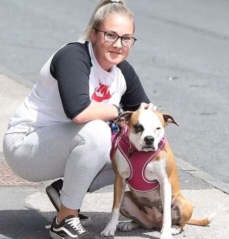 Cane salva la sua mamma adottiva: stava per essere investita