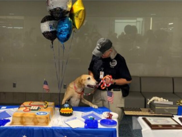 Cane va in pensione dopo 10 anni di lavoro e riceve una bellissima festa