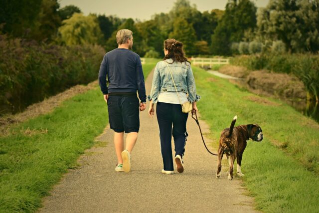 Vicino non vuole che il cane faccia la pipì sulla strada: il post su Reddit